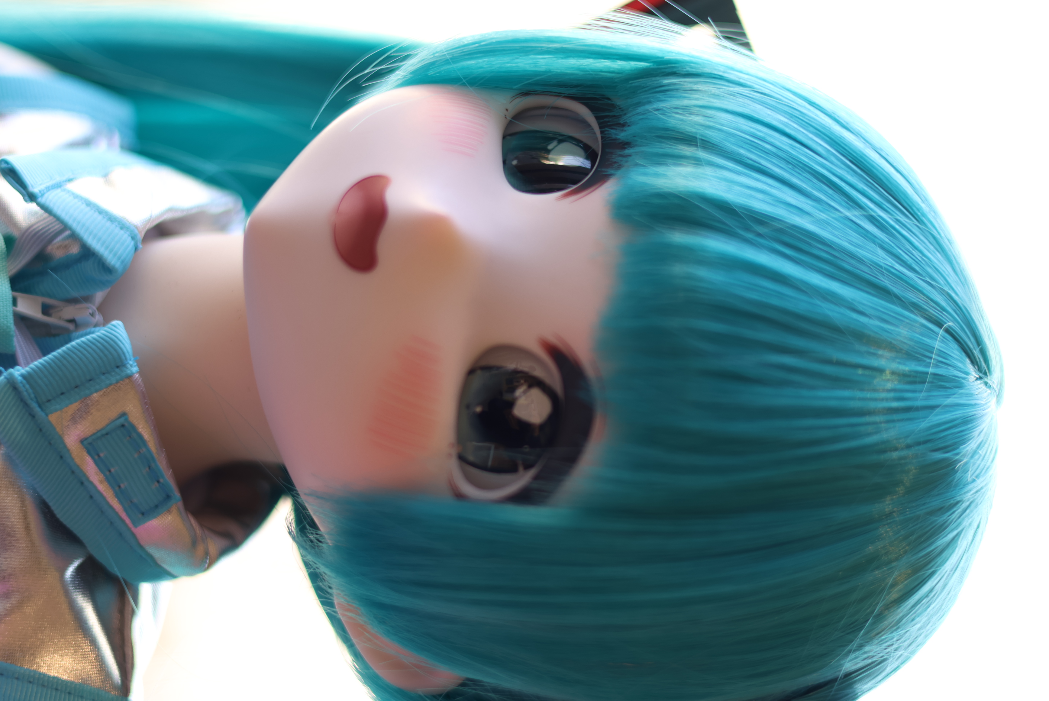6I8A5189.JPG
