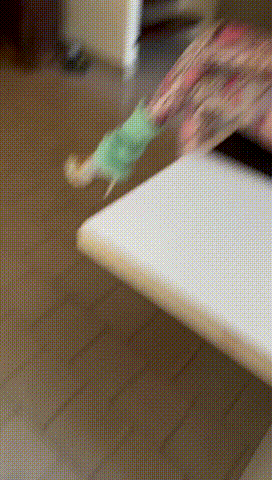 DHR007_Vid-14 00_00_00-00_00_30.gif
