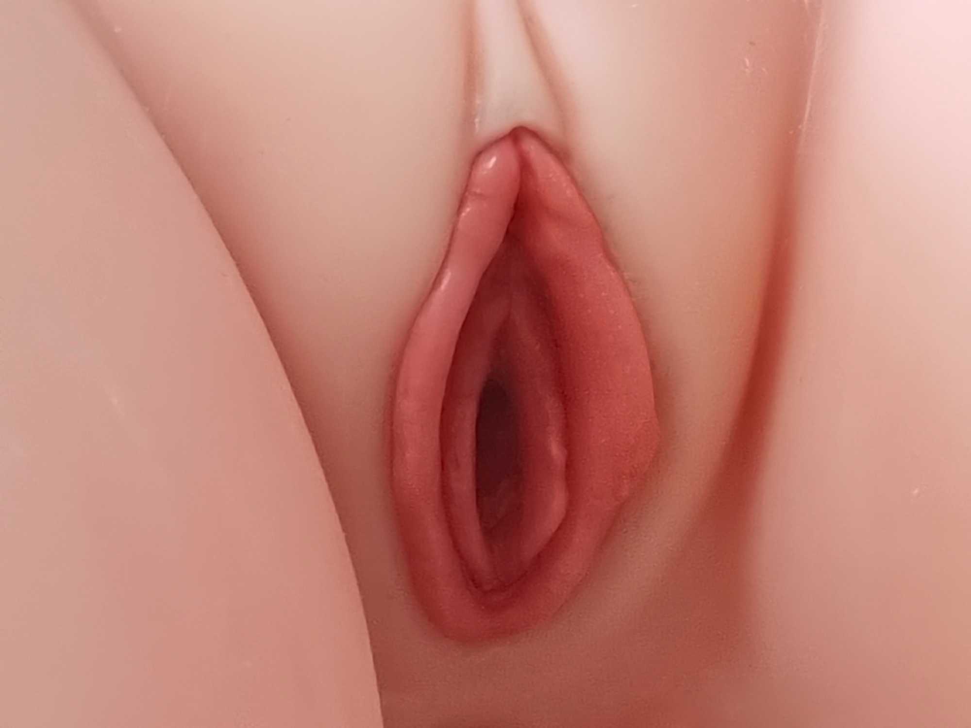 7-Removable cavities-2.jpg