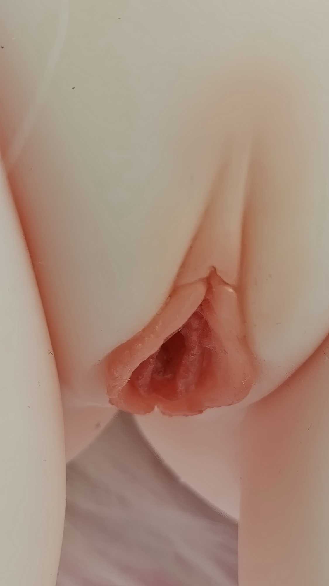 IMG_20260908_170838.jpg